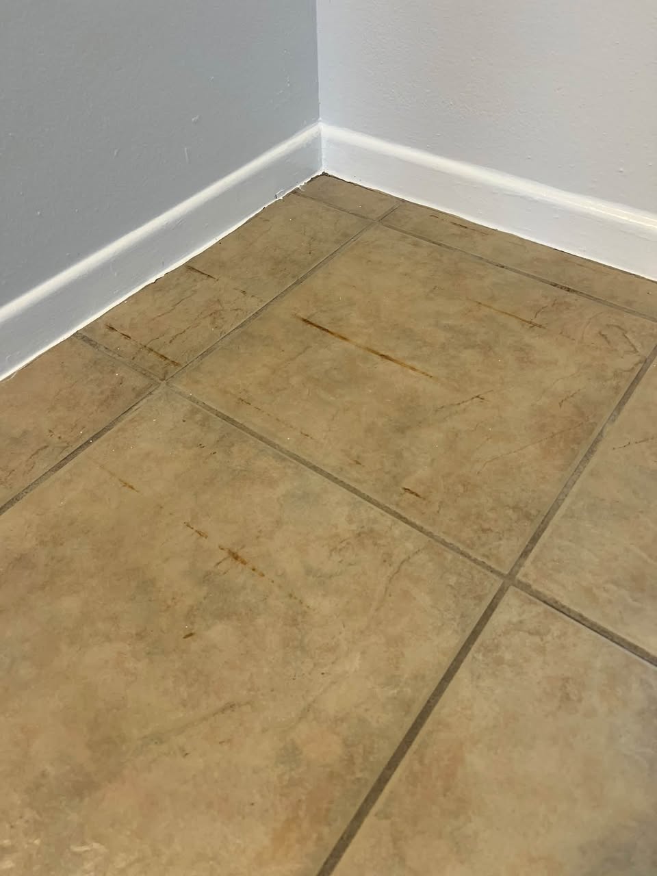 Tile floor before cleaning, with stained grout